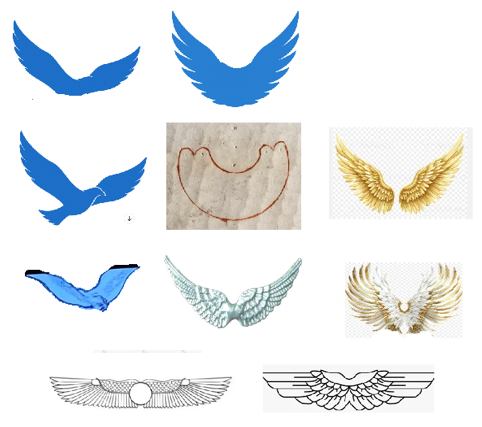 כנפים תצריף 10 זוגות כנפים למאמר